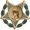 Medal of Honor